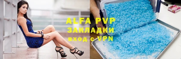 индика Баксан