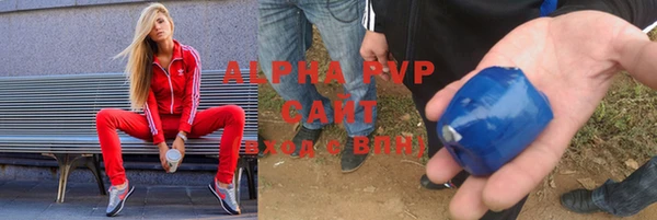 индика Баксан