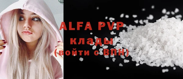 индика Баксан