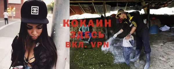 шишки Балабаново