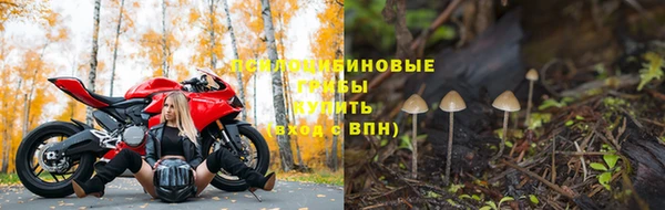 амф Балахна