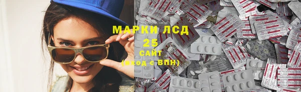 индика Баксан