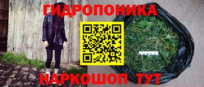 бошки Балашиха