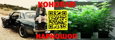 шишки Бугуруслан