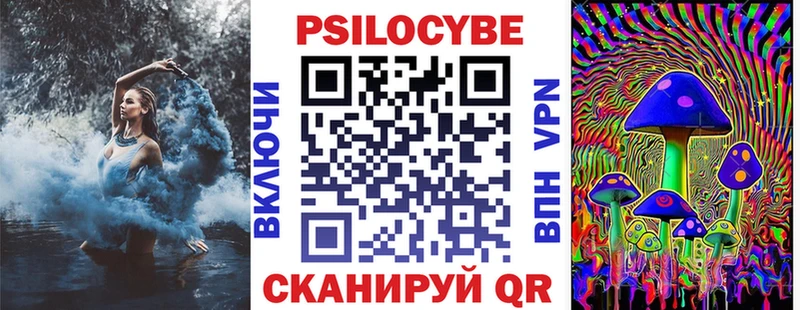 Галлюциногенные грибы Psilocybe  где найти наркотики  Гай 