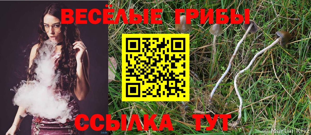 Гай  Галлюциногенные грибы MAGIC MUSHROOMS  Галлюциногенные грибы ЛСД  Вход с VPN 