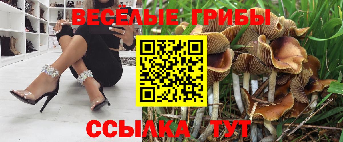 Псилоцибиновые грибы прущие грибы Гай